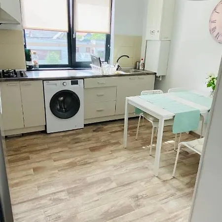Apartament Boutique Loft Apartment